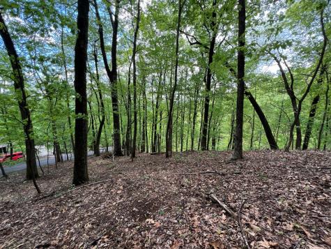 0 Valley View Drive Big Canoe GA 30143