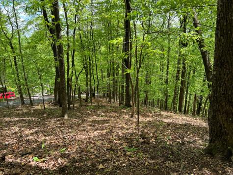 0 Valley View Drive Big Canoe GA 30143