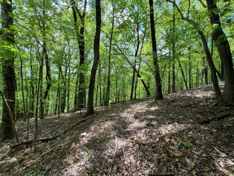 0 Valley View Drive Big Canoe GA 30143