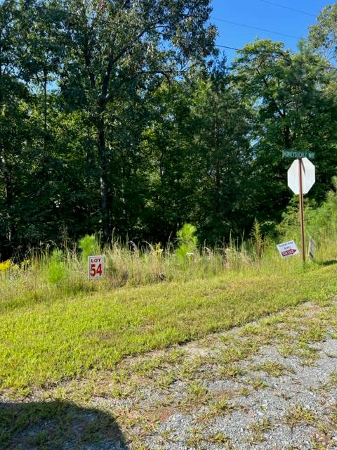 Lt 54 Honeysuckle Way Ellijay GA 30540