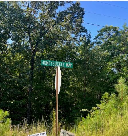 Lt 54 Honeysuckle Way Ellijay GA 30540