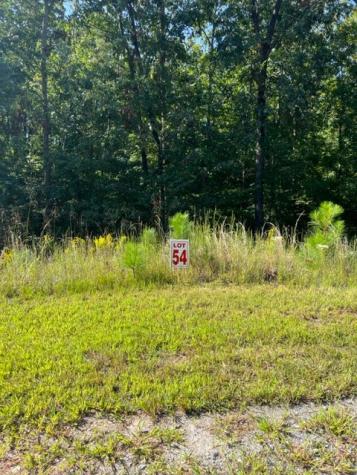 Lt 54 Honeysuckle Way Ellijay GA 30540