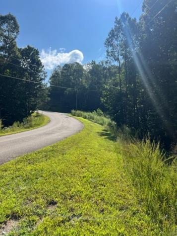 Lt 54 Honeysuckle Way Ellijay GA 30540