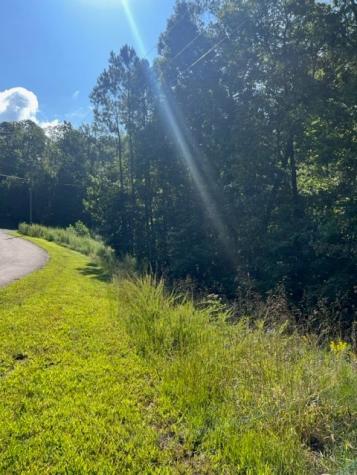 Lt 54 Honeysuckle Way Ellijay GA 30540