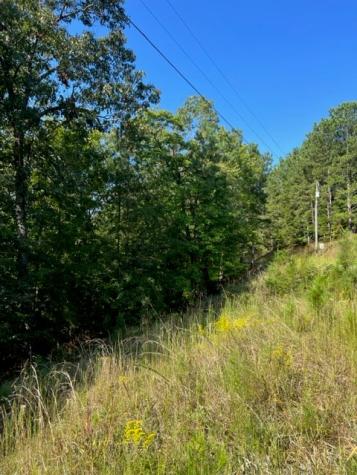 Lt 54 Honeysuckle Way Ellijay GA 30540