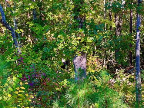 59 High River Landing Ellijay GA 30540