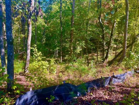 59 High River Landing Ellijay GA 30540