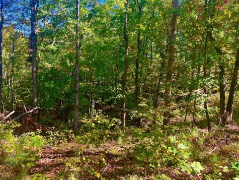 59 High River Landing Ellijay GA 30540