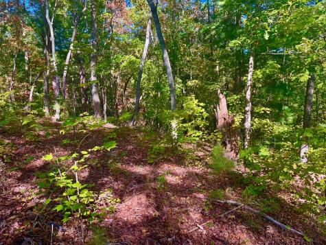 59 High River Landing Ellijay GA 30540