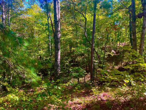 59 High River Landing Ellijay GA 30540