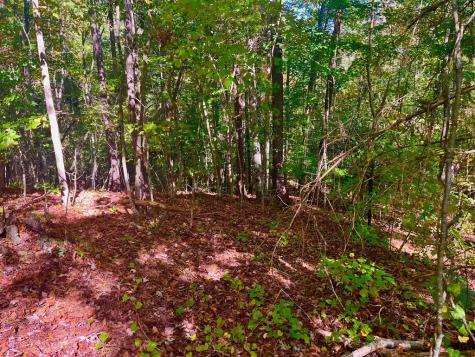 59 High River Landing Ellijay GA 30540