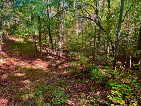 59 High River Landing Ellijay GA 30540