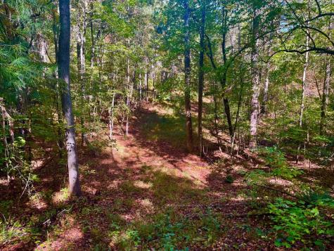 59 High River Landing Ellijay GA 30540