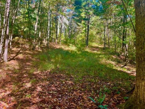 59 High River Landing Ellijay GA 30540