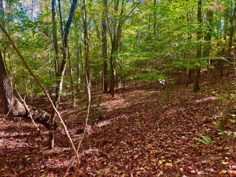 59 High River Landing Ellijay GA 30540