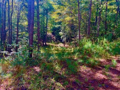 59 High River Landing Ellijay GA 30540