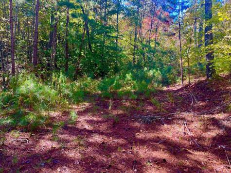 59 High River Landing Ellijay GA 30540