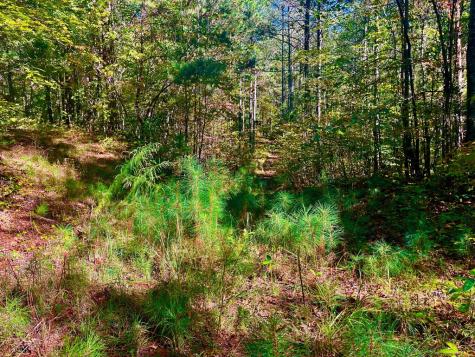 59 High River Landing Ellijay GA 30540