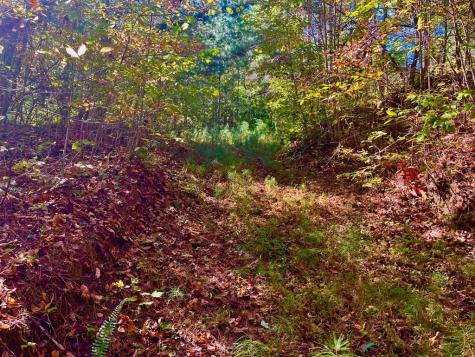 59 High River Landing Ellijay GA 30540