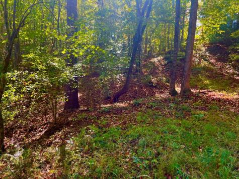 59 High River Landing Ellijay GA 30540