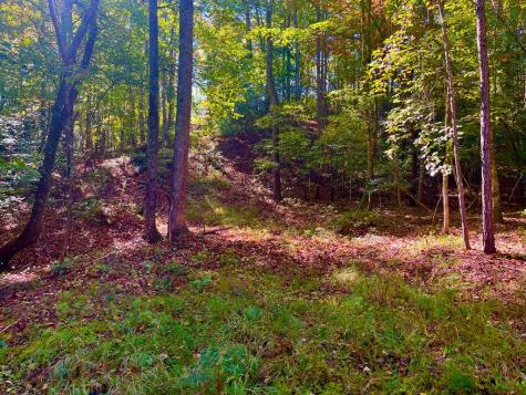 59 High River Landing Ellijay GA 30540