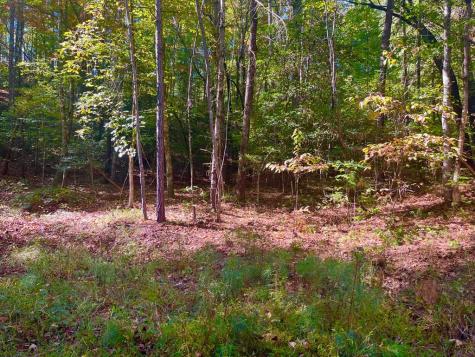 59 High River Landing Ellijay GA 30540