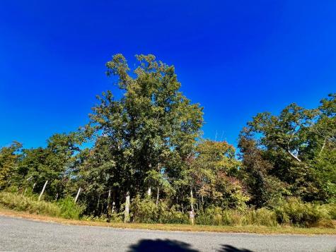 59 High River Landing Ellijay GA 30540