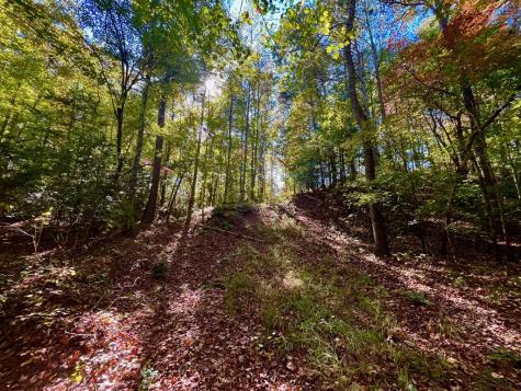 59 High River Landing Ellijay GA 30540