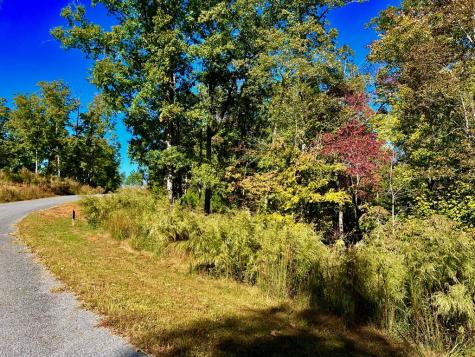 59 High River Landing Ellijay GA 30540