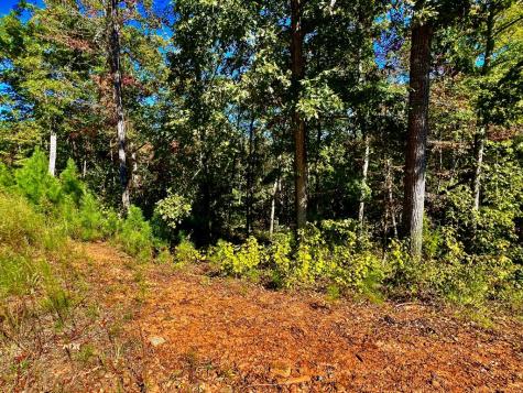 59 High River Landing Ellijay GA 30540