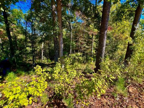 59 High River Landing Ellijay GA 30540