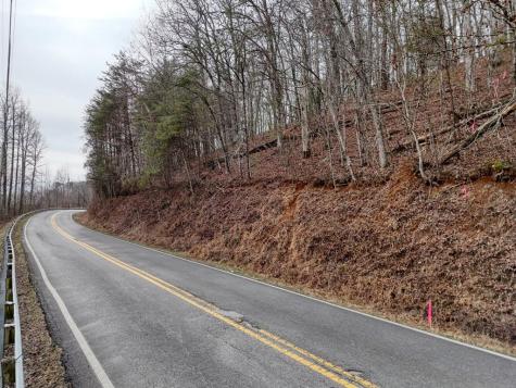 0.65 Ac Barnes Chapel Road Blue Ridge GA 30513