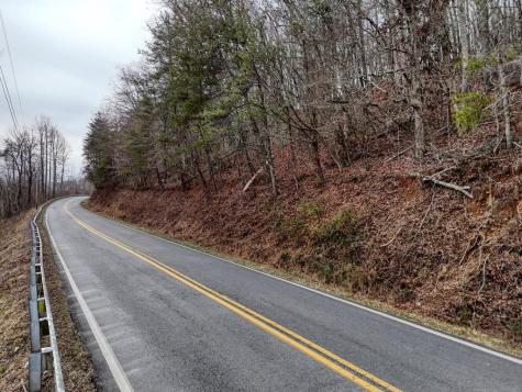 0.65 Ac Barnes Chapel Road Blue Ridge GA 30513