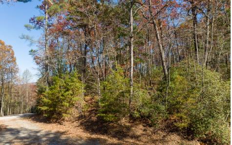Lot 41 Preserve Trail Ellijay GA 30536