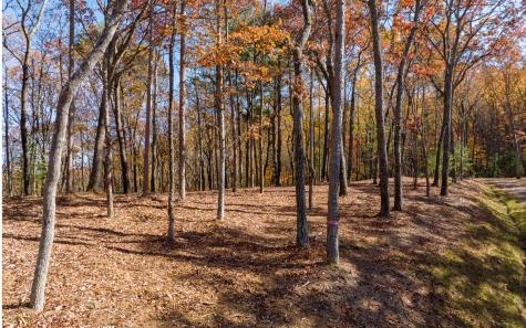 Lot 41 Preserve Trail Ellijay GA 30536