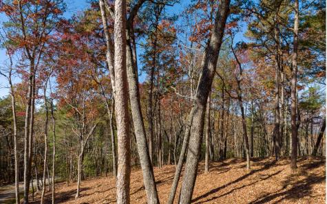 Lot 41 Preserve Trail Ellijay GA 30536
