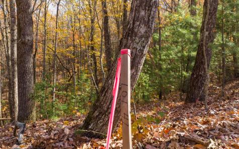 Lot 41 Preserve Trail Ellijay GA 30536