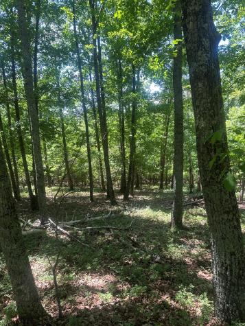 0 Owl Ridge Way Jasper GA 30143