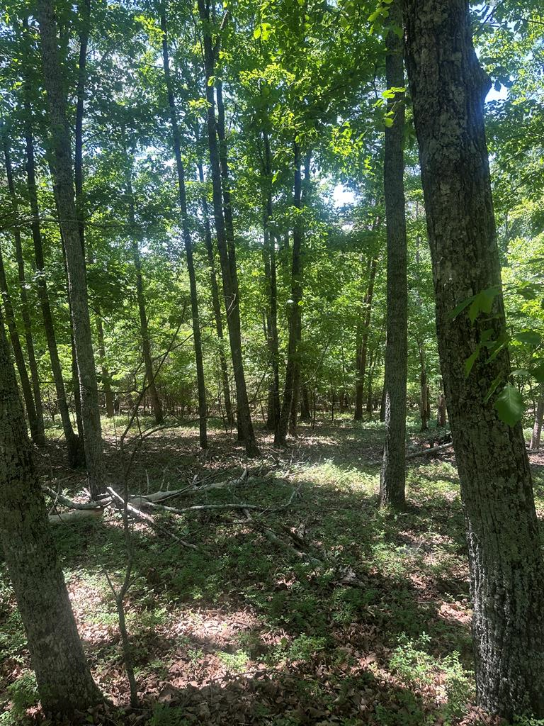 0 Owl Ridge Way Jasper GA 30143