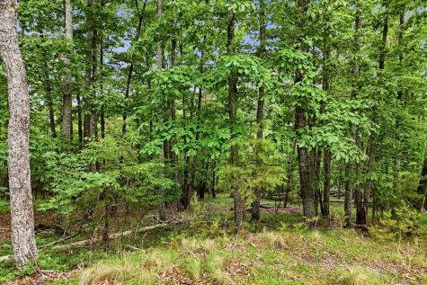 0 Owl Ridge Way Jasper GA 30143