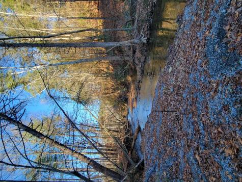 277 Mountaingate Way Ellijay GA 30536