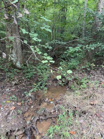 00 Henson Road Hayesville NC 28904