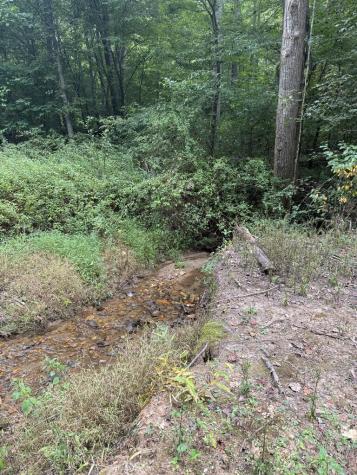 00 Henson Road Hayesville NC 28904