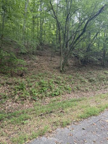 00 Henson Road Hayesville NC 28904