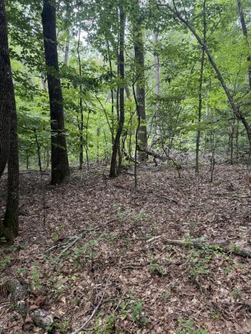 00 Henson Road Hayesville NC 28904