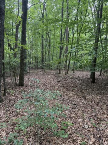 00 Henson Road Hayesville NC 28904
