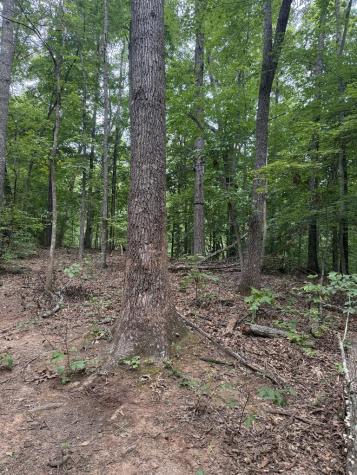 00 Henson Road Hayesville NC 28904