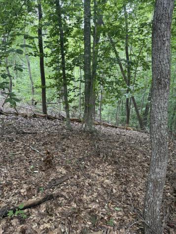 00 Henson Road Hayesville NC 28904