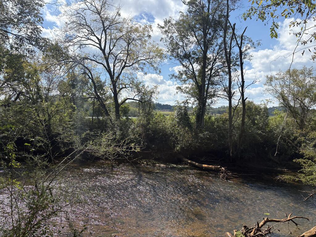 Off Jarrett Road Hayesville NC 28904