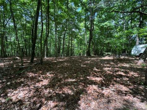 154 Chill Lane Blairsville GA 30512
